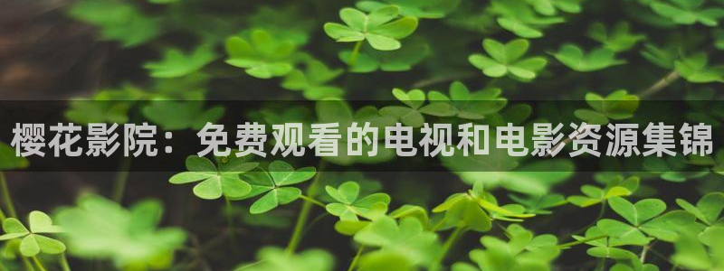 星空电影在线观看免费完整版