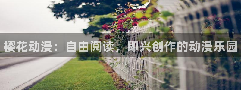 西瓜视频免费观看高清