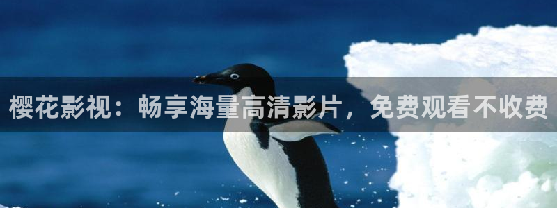猎罪图鉴2西瓜视频