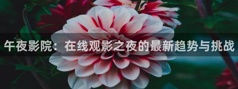西瓜视频 在线播放