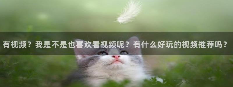 西瓜视频不卡顿
