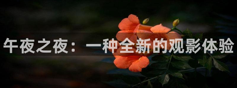 星空乌鸦天美大象糖心