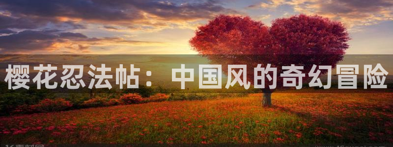 星空影视网官网
