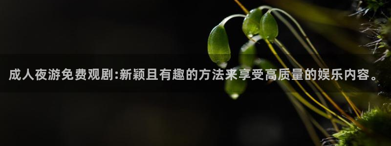 www.西瓜视频