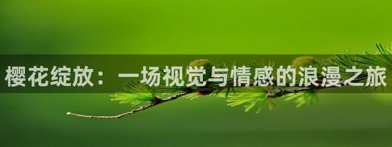 星空影视电视剧免费观看