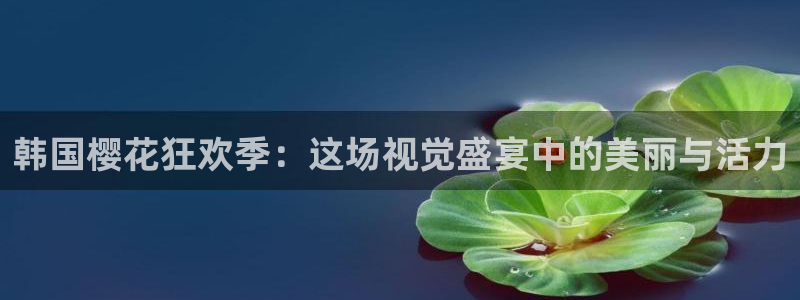 星空影视影视大全