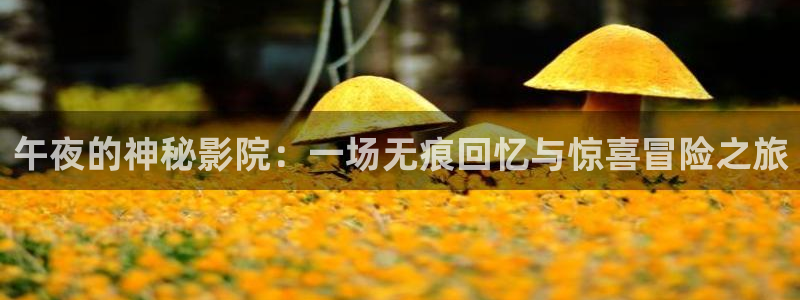 星空影视在线观看入口
