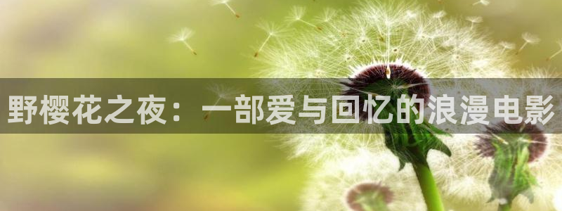 星空书