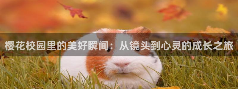 星空电影走廊