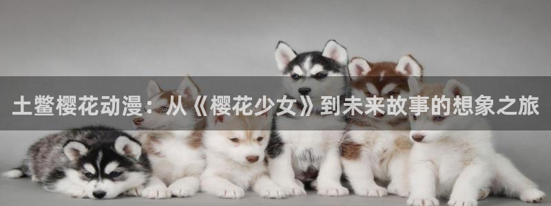 星空影视大全免费观看完整版