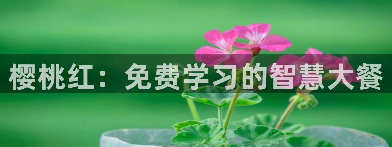 星空视频影视下载官网