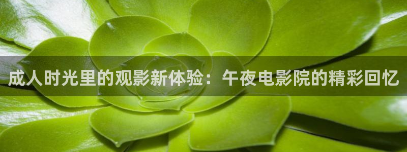 星辰视频高清在线看免费 西瓜视频