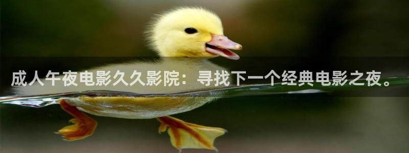 星空电影在线观看免费