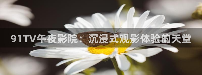 星空影视电视剧免费观看