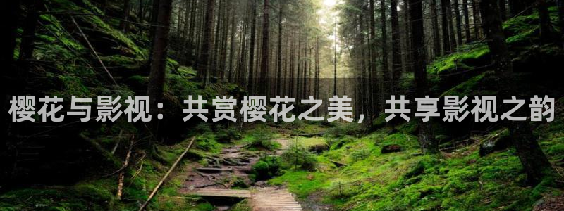 星空视频播放