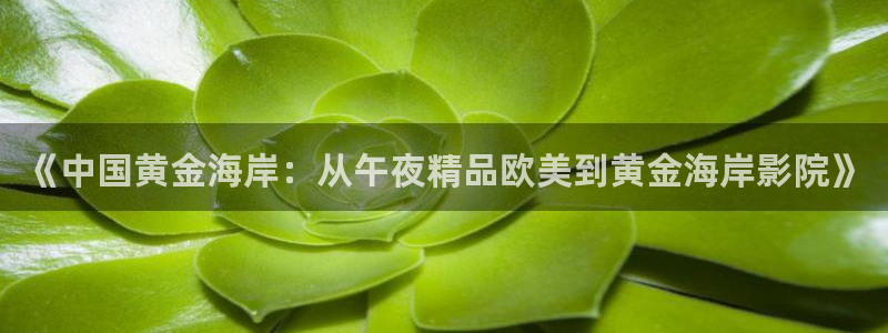 星空影视app下载免费