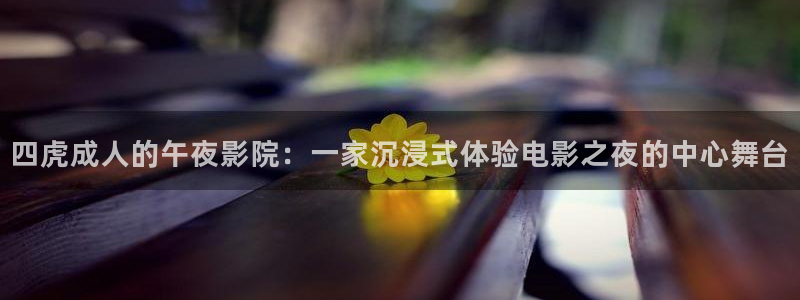 天美星空mv高清完整版