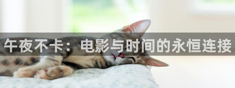 星空无限传媒观看
