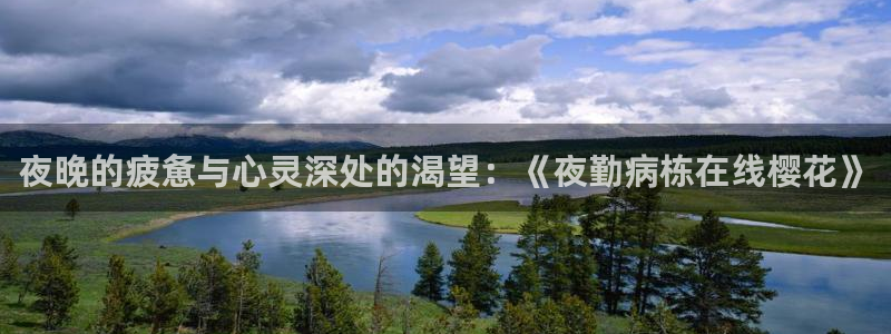 那片星空那片海电视剧在线观看