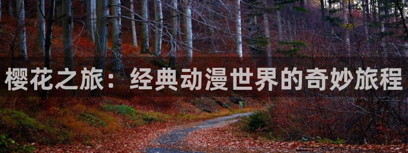 星空无痕mv免费观看高清