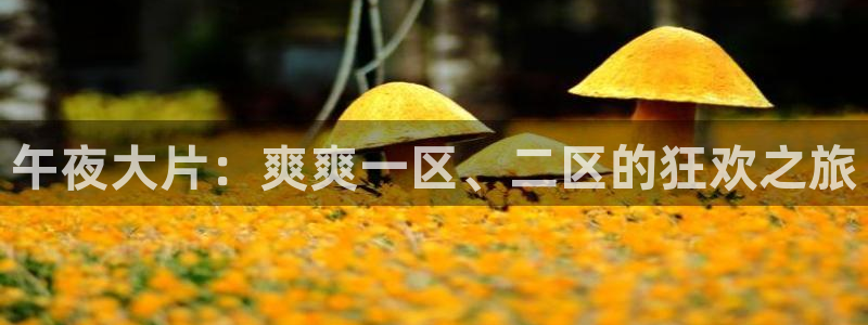 西瓜视频电视