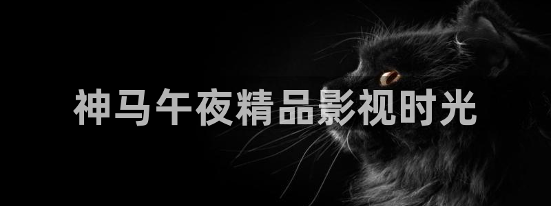 西瓜视频在线观看全集免费